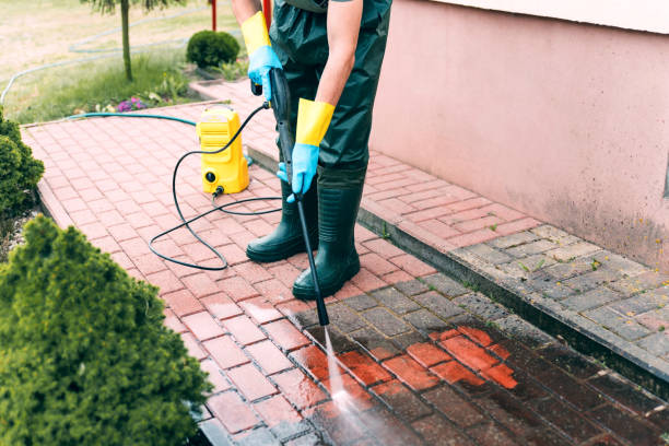 Best Driveway Pressure Washing  in Iowa Falls, IA